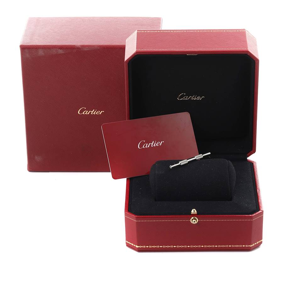 Pack couple Bvlgari Serpenti Silver white sertie et Cartier santos